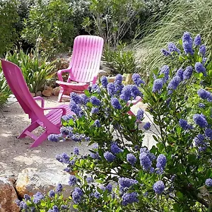 Bed & Breakfast La Colombe, Tourrettes